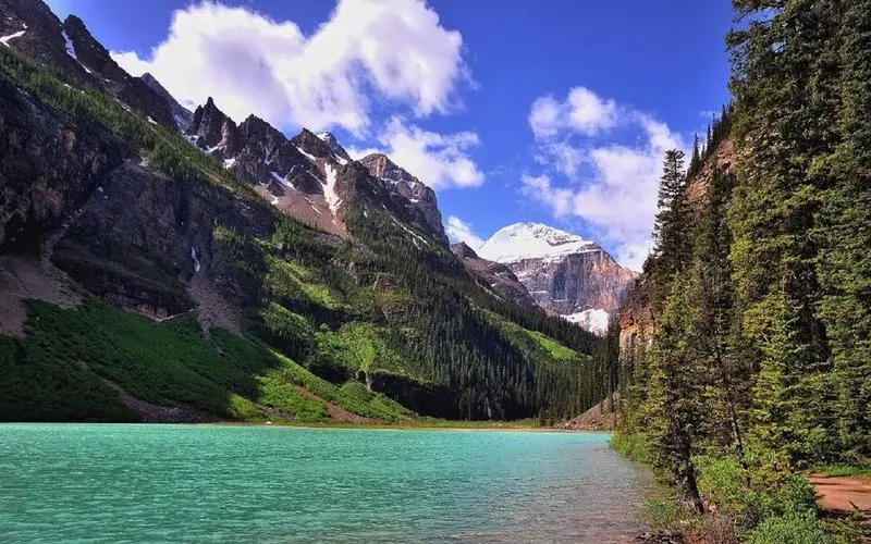 高质量网络化